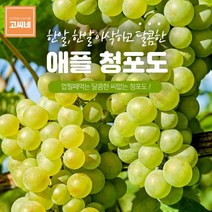 고씨네 특급 청포도1kg 샤인머스켓 청포도 적포도포도 거봉 청포도 포도종류 크림슨포도 아도라포도 머루포도샤인머스켓 샤인머스켓묘목 샤인머스켓보관, 본상품, free