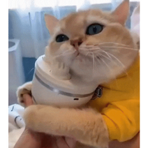 고양이 마사지 강아지 마사지기(투트랙 돌돌이 증정), 02.유광 화이트