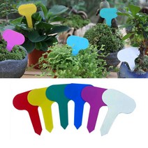 미니 칼라 꽂이형 화분픽 식물이름표 팻말 네임텍 20p 식물팻말 꽃이름표 식물네임택 네임픽 화단꾸미기