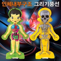 교구 풍선 인체골격과 과학키트 인체 그리기 내장기관 내부구조 만들기, 선택_단품