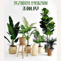 더알로하 조화 인조나무 야자수나무 아레카야자 극락조 몬스테라 고무나무 올리브나무 바나나나무 드라세나 라탄화분 이태리화분, 극락조160(M)