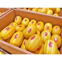 허니삼구 특품 아삭아삭 꿀 참외 2.5kg내외 5kg내외 10kg내외, 1박스, 참외10KG내외(56-80과)소과