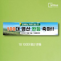 엠블루05 가족여행 가을여행 우정여행 워크샵 워크숍 산악회 정기산행 단풍여행 섬여행 행사 현수막, 18_100대명산완등