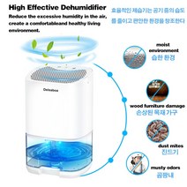 제습기 공기청정기 2 in 1 조용한 음소거 7가지색상 램프 조명 습도조절 음이온정화 심플한디자인 장마 습기제거, 일본, E