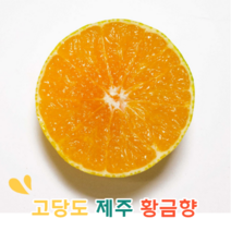 [프리미엄] 고당도 제주 서귀포 황금향 2.5KG / 4.5KG, 중과 4.5Kg 26-34과