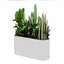 초대형 파티션 화분 가림막 테라스 카페 토분 긴화분, 철 화이트 100x30x70 깊이30