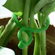 원형클립 초록색 줄기묶기 대형 식물클립 묶음끈 작물 원예 고추 오이 토마토 고정