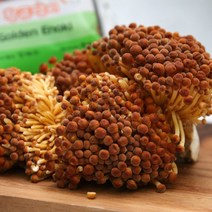 국내산 친환경 황금팽이버섯 갈색팽이버섯 200g내외, 1box, 04_황금팽이버섯 200g 10봉