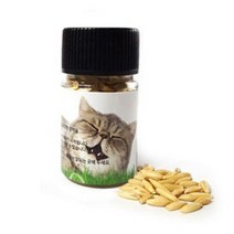 브랜드없음 고양이 캣 그라스 헤어볼 배출 귀리 씨앗 14g, 선택완료