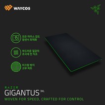 레이저코리아 기간투스 V2 3XL Razer Gigantus 마우스패드 54706