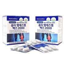 네이처맥스 옵티 엠에스엠 맥스 2000 2박스 MSM, 선물박스 안함