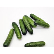 농사꾼아내 국내산 미니오이 300g/600g, 국내산 미니오이 600g