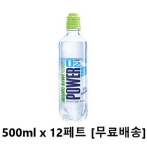 사랑주는쇼핑몰 파워 오투 애플키위향 500ml x 12페트, 12개