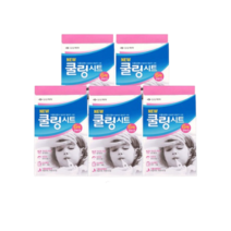 신신제약 열패치 쿨링시트 6매입, 쿨링시트 x 5개
