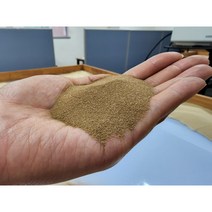 샌드아트 드로잉모래 사막모래 샌드아트 드로잉모래 전문가모래 그림모래 (5kg), 사막모래 (베이지 5kg)