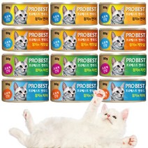 프로베스트 캣푸드 고양이간식캔 참치&연어/치어/치킨/게맛살 80g 1박스 24개입, 참치&연어 1BOX
