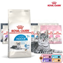 로얄캐닌 캣 인도어 7+ 1.5kg 7세이상 신장 요로관리 변냄새감소 실내 노령묘사료, 크리미간식 증정, 24년 12월