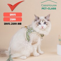 [CassHouse카스하우스] 고양이하네스 강아지 소형견 중형견 시골 하네스, 보라