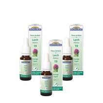 Larch 25ml Biofloral Fleurs De Bach 19, 3팩