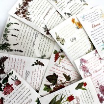 종이 옷장 욕실 차량 방향제 냄새 제거 12매 8.5cmX12cm, 클린코튼