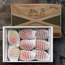 [올찬] 제주 애플망고 선물세트(특대) 3kg 7~8과 (제주직송), 단품