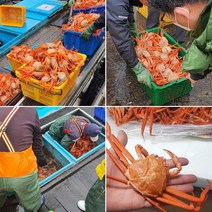 국내산 실속형 자숙 홍게 3kg 수율 60-70%