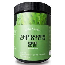 헬로우그린 국산 손바닥 선인장 분말 250g(통), 250g(통) 1개