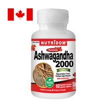 뉴트리돔 아쉬와간다 2000 4배농축 60 분말캡슐 에너지활력 아시와간다 N206, 60정, 1개