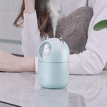 야옹이 가습기 애완 고양이 300ml 대용량 미니가습기 USB 무드등 필터 5개포함 KC인증 대량구매, 민트