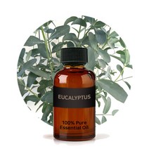엔피솝 유칼립투스 블루검 E.O 100ml 에센셜오일