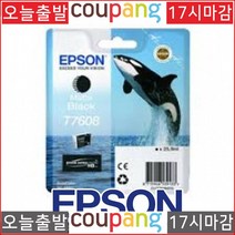 C20656 엡손SURECOLOR SC P600 T760800 메트블랙/정품INK, 1