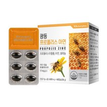 광동생활건강 - 광동 프로폴리스 아연 600mg x 60캡슐, 단품, 단품