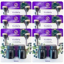 불스원 그라스 디퓨저 블루 블랙베리 100ml 2개 6세트 (총 12개입), 상세페이지 참조, 상세페이지 참조, 상세페이지 참조