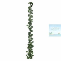 앤시로크 담쟁이 넝쿨 12줄 1P 길이 240cm