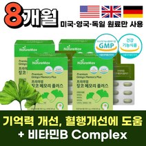 기억력 혈행 개선 도움 징코 ginko 플러스 은행잎 추출물 플라보놀 + 비타민 b 비 컴플렉스 complex + 아미노산 식 약 청 인증 부모님 어른 여자 건강 식품 선물 추천, 프리미엄 징코 60정 x 4박스 (8개월분)