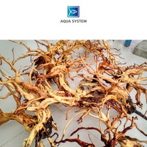 아쿠아시스템 프리미엄 키시레움 유목 (헤리 유목) L 사이즈 1개