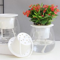 오너클랜 홈가드닝 플랜테리어 심지자동급수 저면관수 수경화분_WA0E0F7, 라운드형