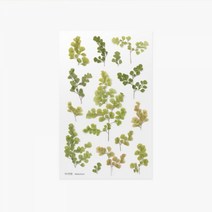 압화스티커 아디안텀