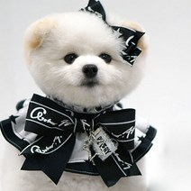 팝앤퍼피 블랙에디션케이프+헤어핀 SET, 블랙, 1세트