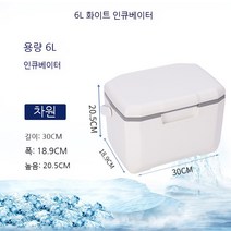 청색유성 야외 휴대용 보온함, 6l 화이트, 1