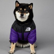 2023 SUPREPET패딩 개 겨울 옷 따뜻한 방풍 솔리드 코트 코튼 디자이너 대형 강아지 액세서리, 보라색+S