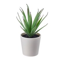 IK630 이케아 FEJKA 페이카 인조식물+화분 실내외겸용 다육식물 6cm, IK630 인조식물+화분 다육식물 6cm