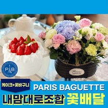 모두의케이크 파리바게트 생일 꽃바구니 케이크 출산 축하 결혼기념일 전국꽃배달서비스, 22. 꽃바구니, 04. 1호 카페모카케이크