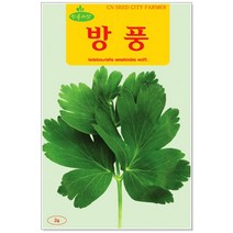 나물 씨앗 택1 곤드레 / 냉이 / 방풍 / 산마늘 / 시금치 / 월동시금치 / 참나물 / 취나물 나물심기, 40번 방풍 2g
