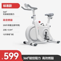 튼튼한 스피닝 자전거 실내 사이클 유산소 홈트 헬스 바이크 좌식 운동기구, 아이보리/핸드 임피던스/듀얼 연지