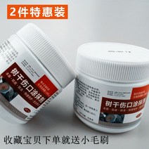 효과좋은 나무 상처 치료제 보호제 톱신페스트 영양 수목보호 락발삼 소나무 도포제, 2캔 500g + 사은품 솔 증정