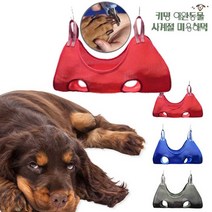 키밍 애완동물 사계절 미용해먹 미용대 반려견 손질, 본상품선택 L_그린, 본상품선택 본상품선택