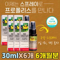프로폴리스 플라보노이드 스프레이 구강 건강 레몬향 맛있는 상쾌한 목에 뿌리는 타입 플라노보이드 온가족 패밀리 임산부 임신 준비 초기 항산화제 수유부 선물 세트 프로폴리 폴라폴리스