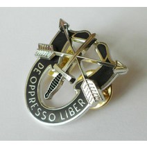 Tomwang2012. 미 육군 특수 부대 beret Cap 배지 핀