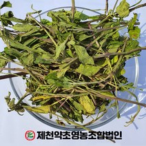 국산 곰보배추 500g 제천약초영농조합 제천약초시장, 1